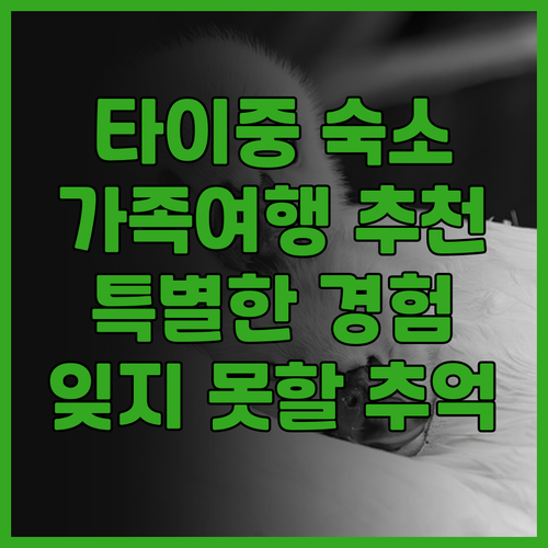 Sqoawya Hostel 특별한 타..