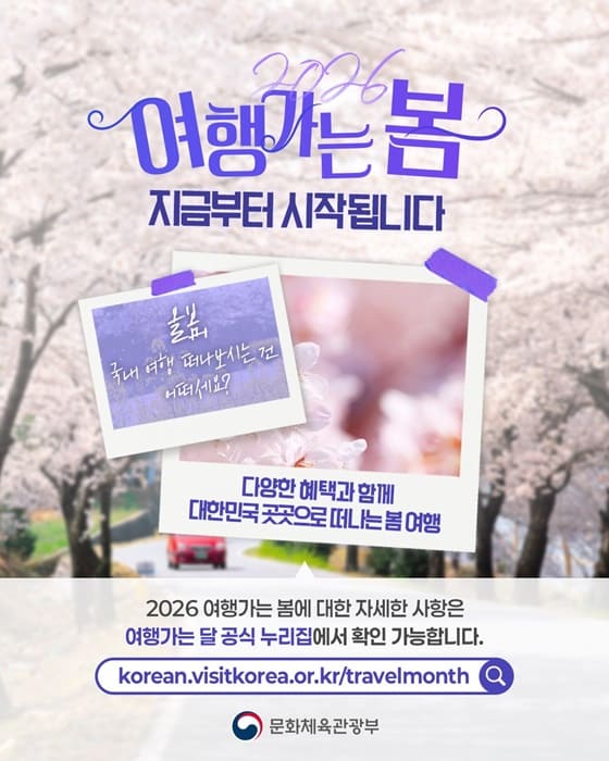 2026 여행가는 봄 할인 총정리 최대 50% 여행비 줄이는 방법