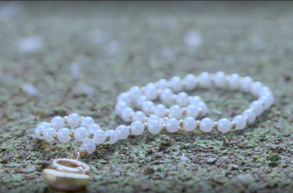 바니와 오빠들 몇부작? 등장인물, OTT, 재방송 완전 정리