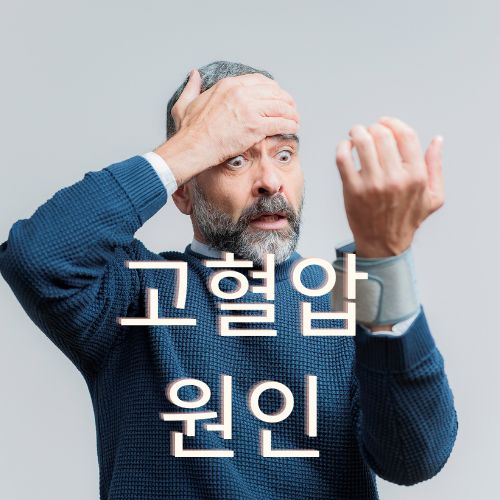 고혈압 원인