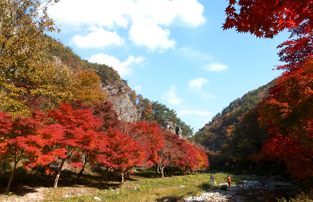 전라도-가을여행지-추천-순창-강천산-단풍-절정시기