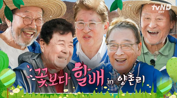 꽃보다 할배