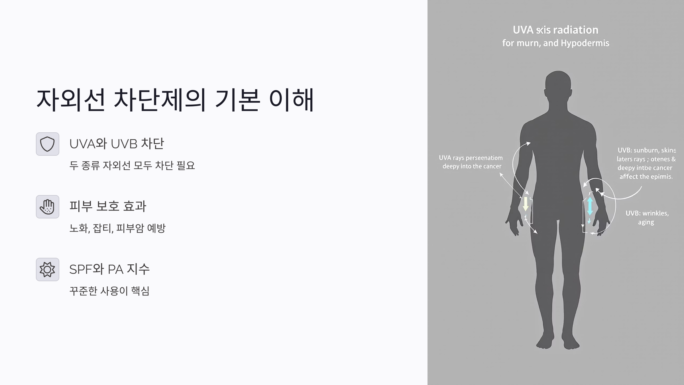 사계절 선크림 필수 이유와 계절별 피부 타입별 자외선 차단 꿀팁