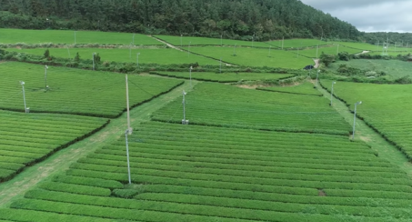 봄에 떠나기 좋은 여행지