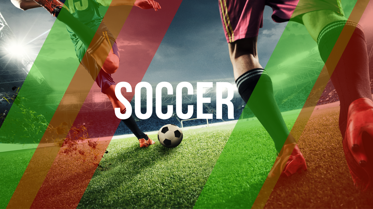 스포츠관련사진