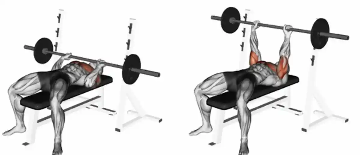 벤치프레스-하는-남자