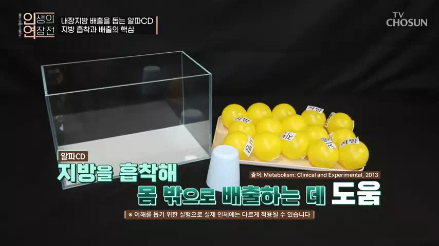 알파CD