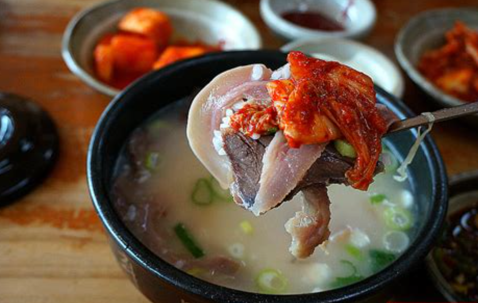 화담숲 예약방법