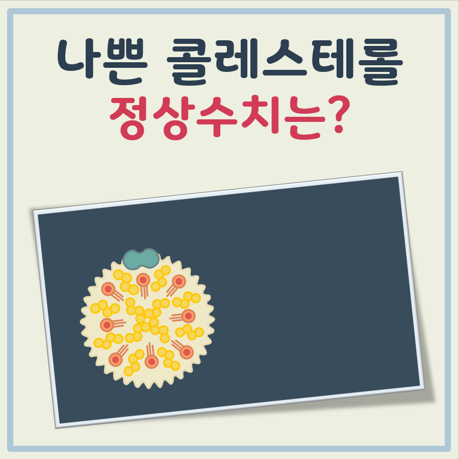 나쁜 콜레스테롤 정상수치 대표 이미지