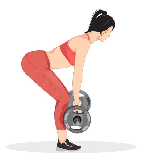 기립근의 역활과 강화를 위한 운동