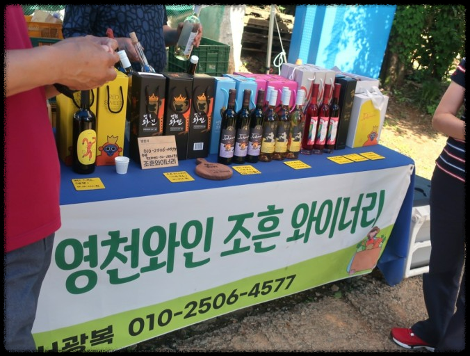 2024 영천 와인축제에서 놓치지 말아야 할 즐길거리와 먹거리, 체험 가이드