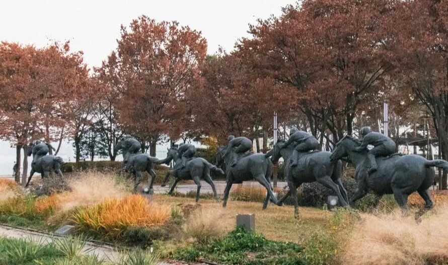 2025 서울숲 튤립 구경 가이드 관련사진