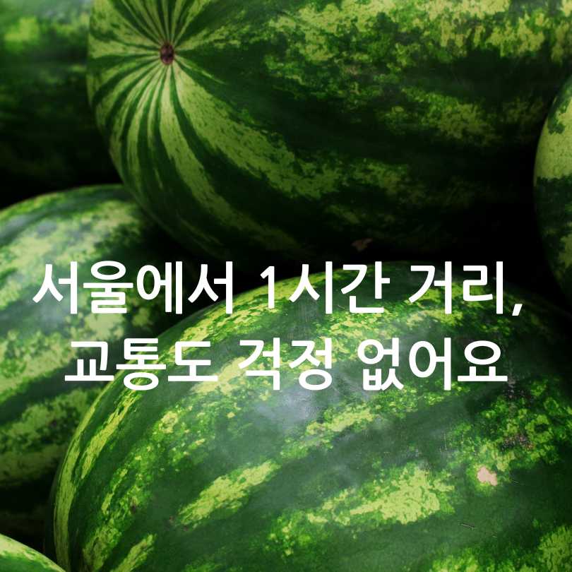 2025 여름 양평 수박축제 : 서울 근교 여행&amp;#44; 축제