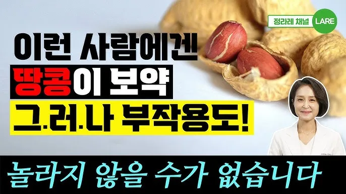 땅콩 심는시기 파종법 중부 남부_7