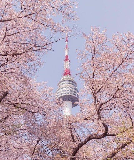 국내 봄 여행지 추천 - 서울 남산 N서울타워