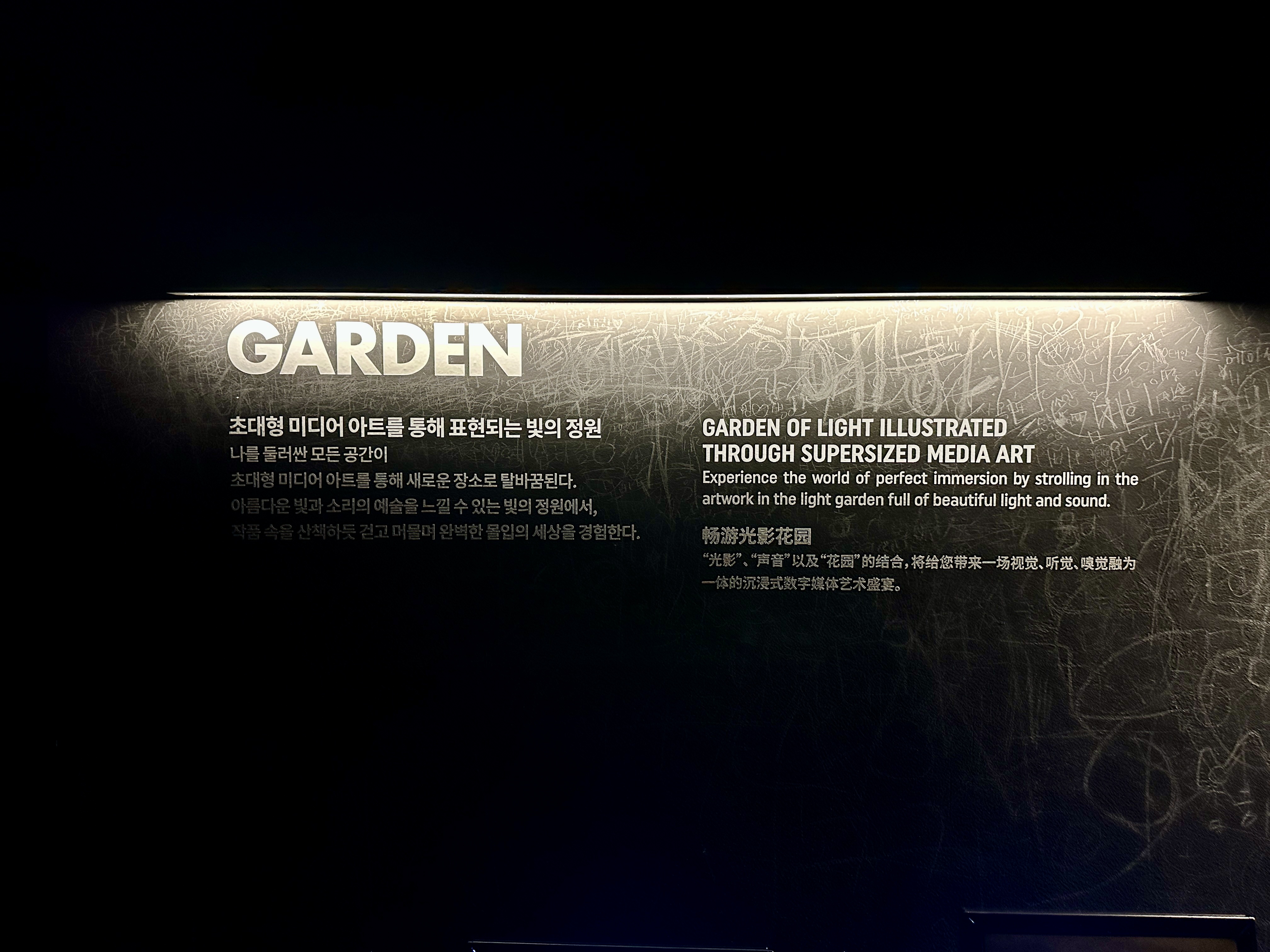 강릉 아르떼 뮤지엄 빛의 정원