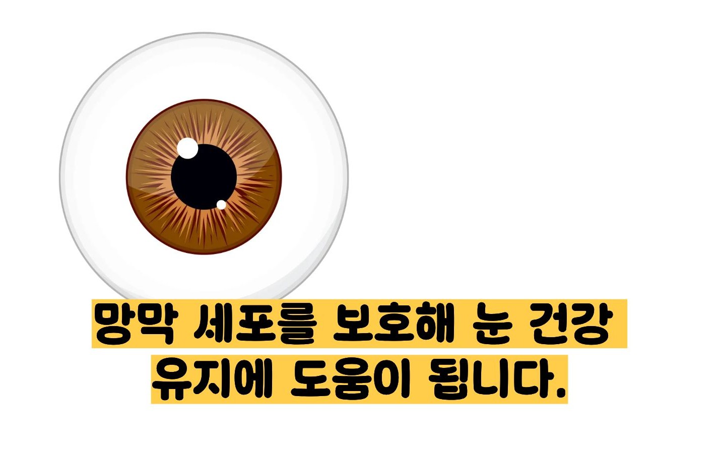 비타민e의 효능