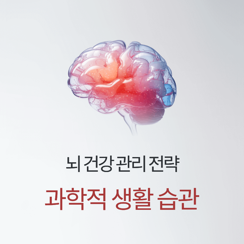 뇌 건강 관리 전략 및 과학적 생활 습관