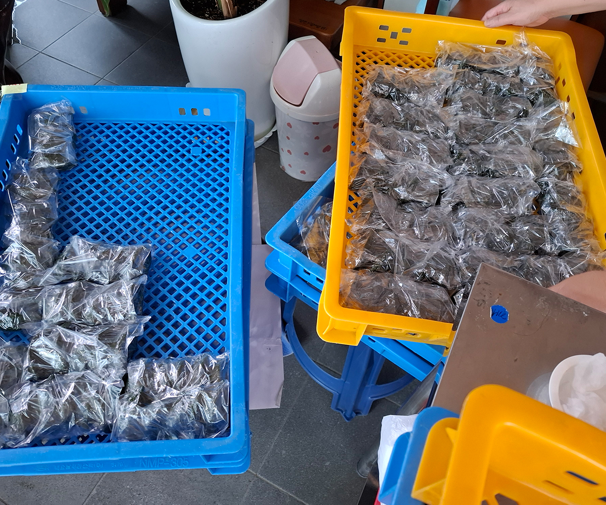 4개씩 포장되어 있고
각각의 소가 틀린 모시떡