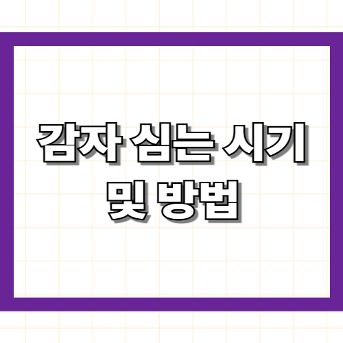 감자 심는 시기 및 방법