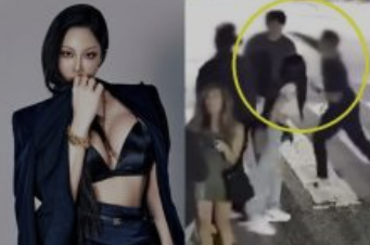 가수 제시 폭행