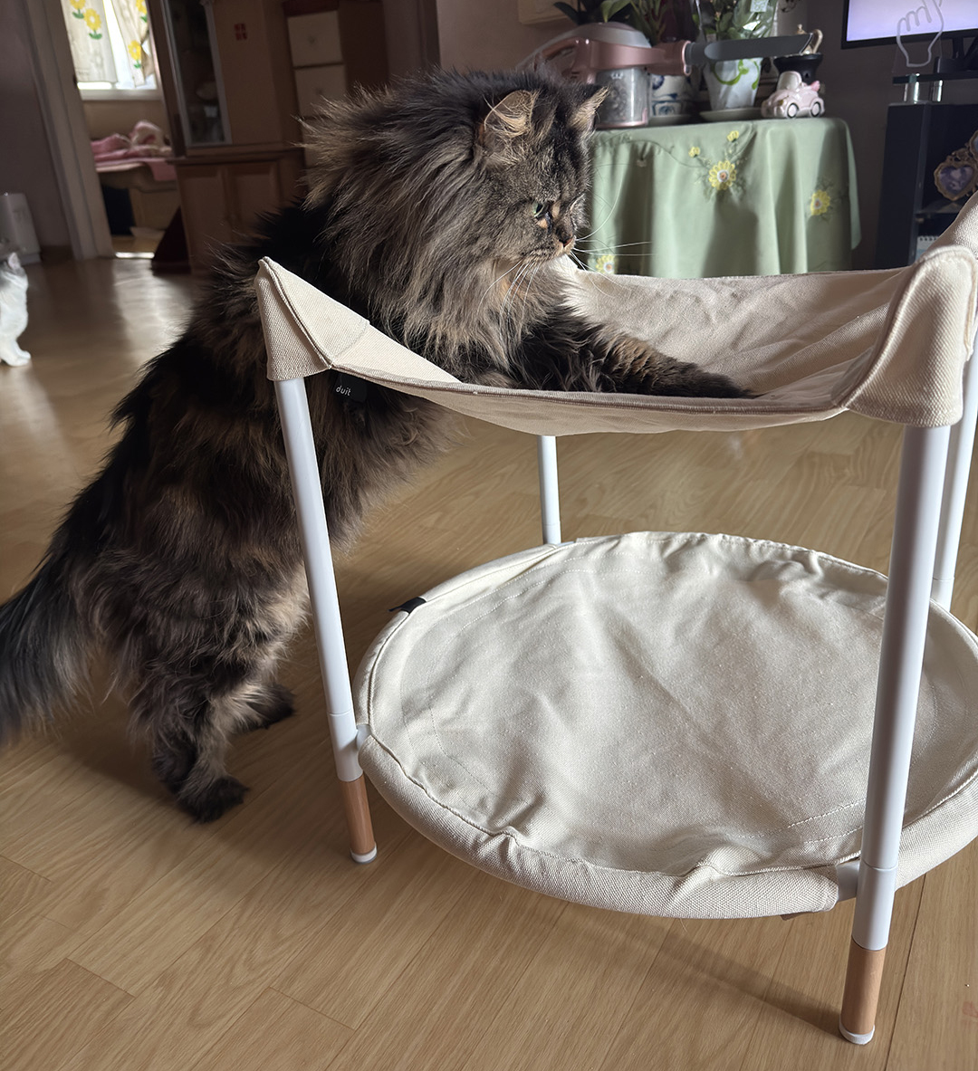 두잇 트램펄린 해먹 솔직 후기!