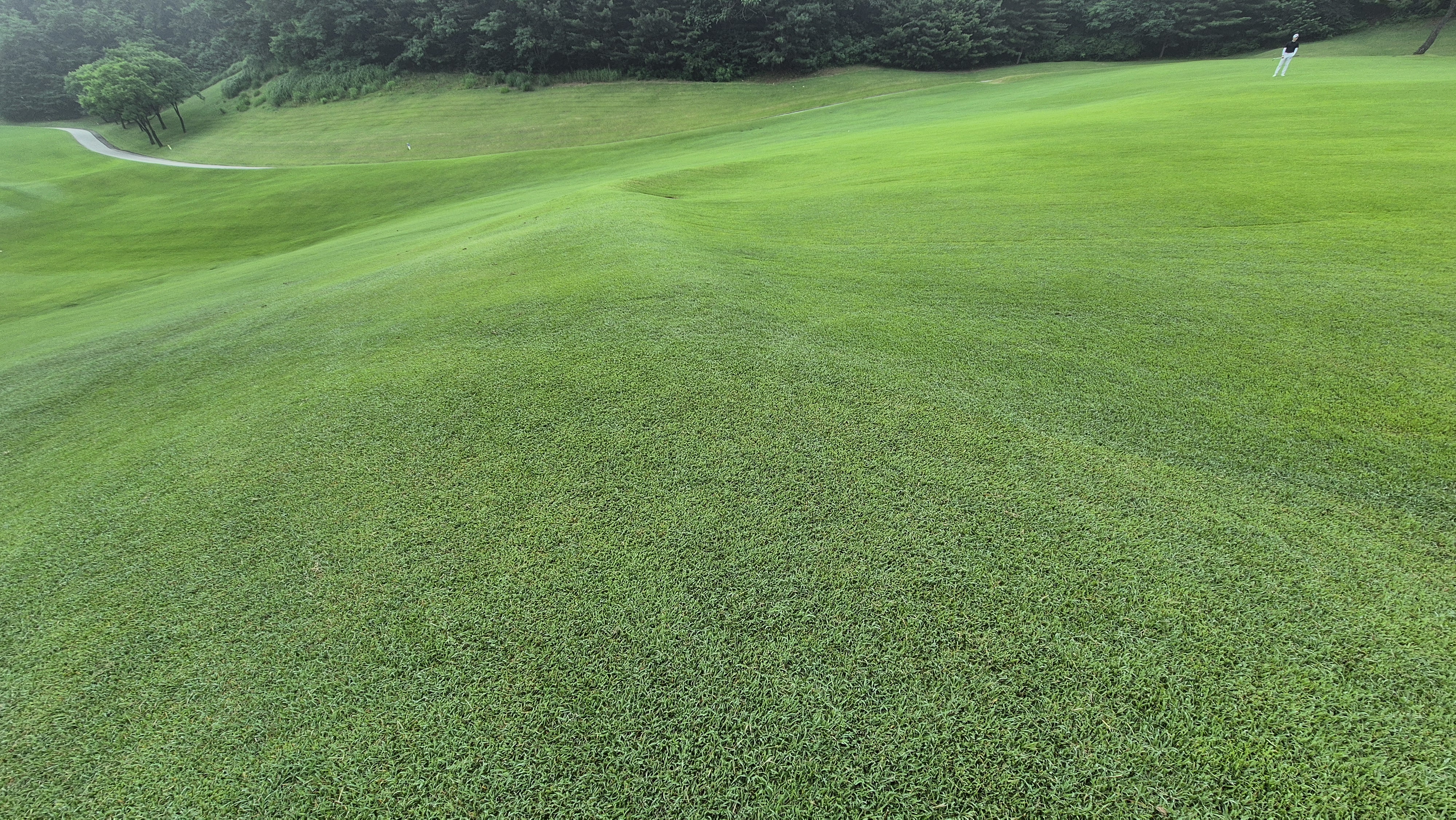 뉴스프링빌cc 공략 정보