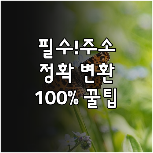 도로명주소 지번주소 상호 변환 정확하..