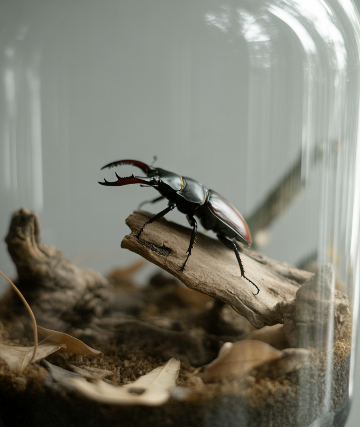 이것만은 꼭! &amp;#39;관리&amp;#39;의 핵심 포인트