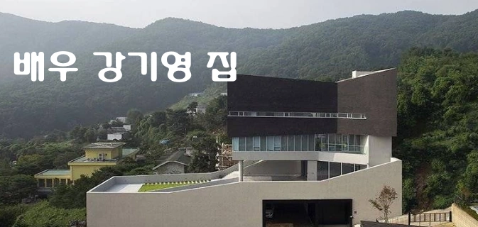 배우 강기영 집