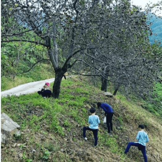 생방송오늘저녁 김천 호두농장