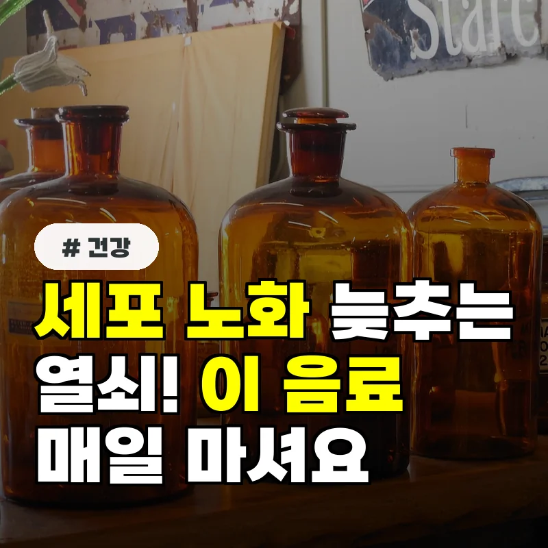 노화 걱정 없이 젊게 살고 싶다면 세포 노화를 막는 기적의 음료 공식