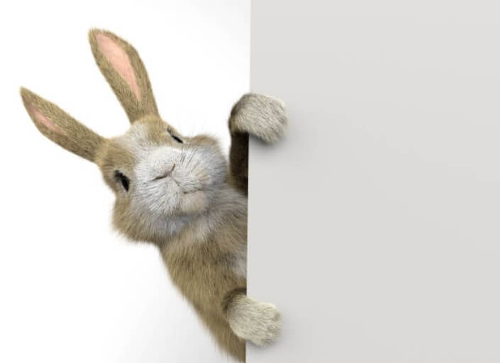 토끼띠와궁합이좋은띠