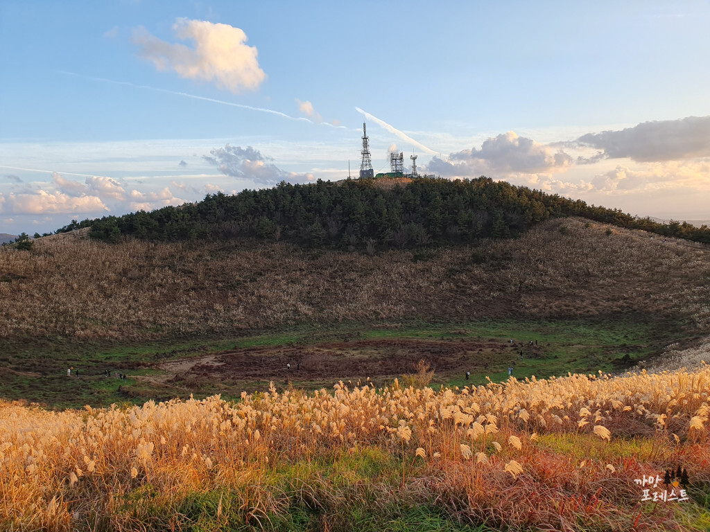 제주 금오름 정상