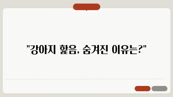 강아지가핥는이유 날개 통신으시오