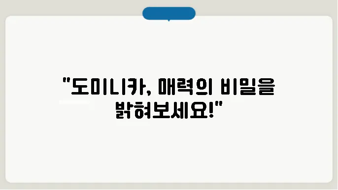 도미니카 공화국의 수도, 문화, 특산물