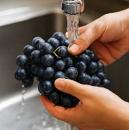 포도주 담그는 방법