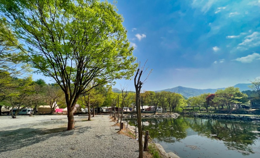 가평-유명산밸리캠핑장-전경