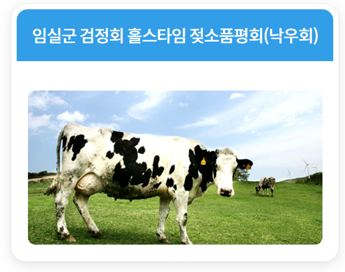 임실N치즈