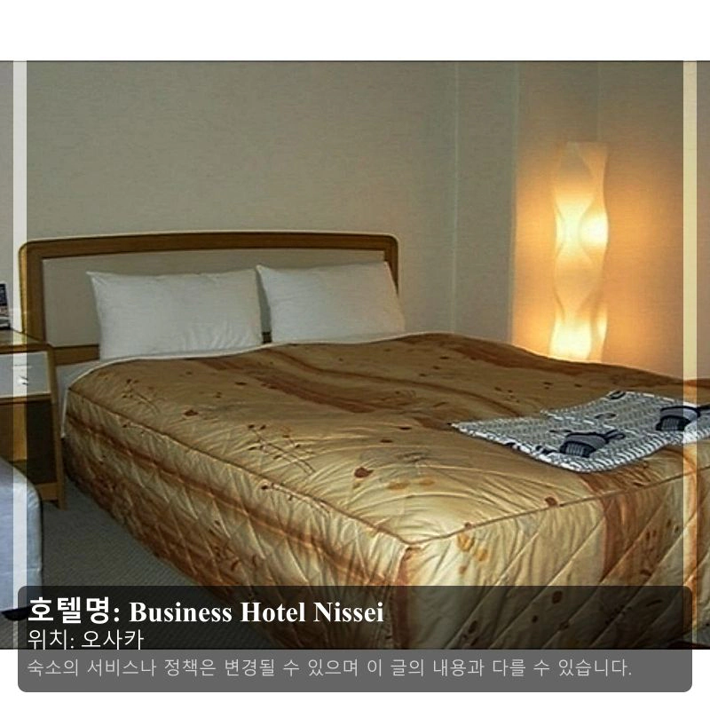 Business Hotel Nissei_2