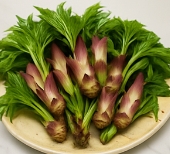 엄나무 효능 부작용