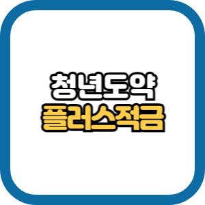 청년도약플러스적금