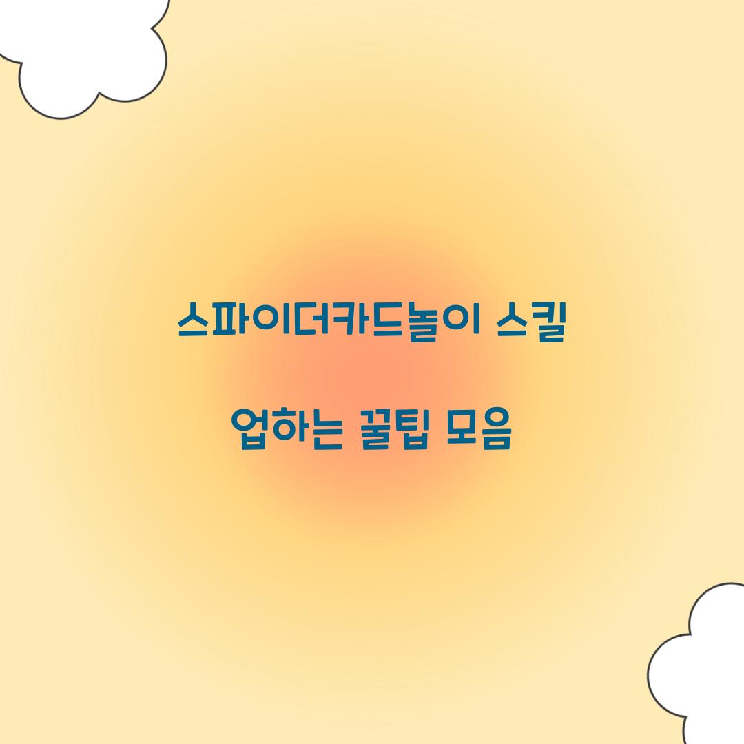 스파이더카드놀이