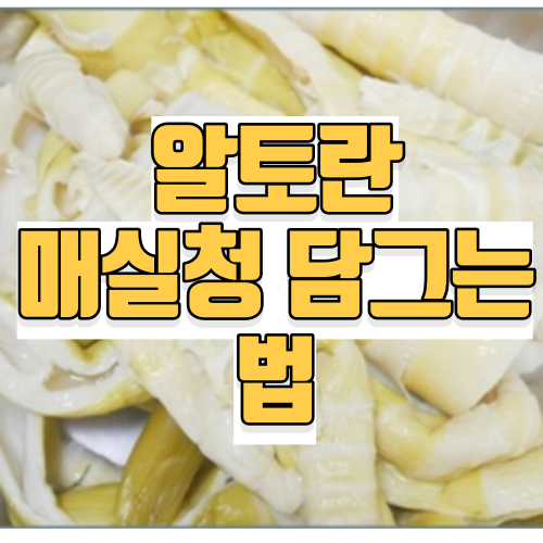 알토란 매실청 담그는법