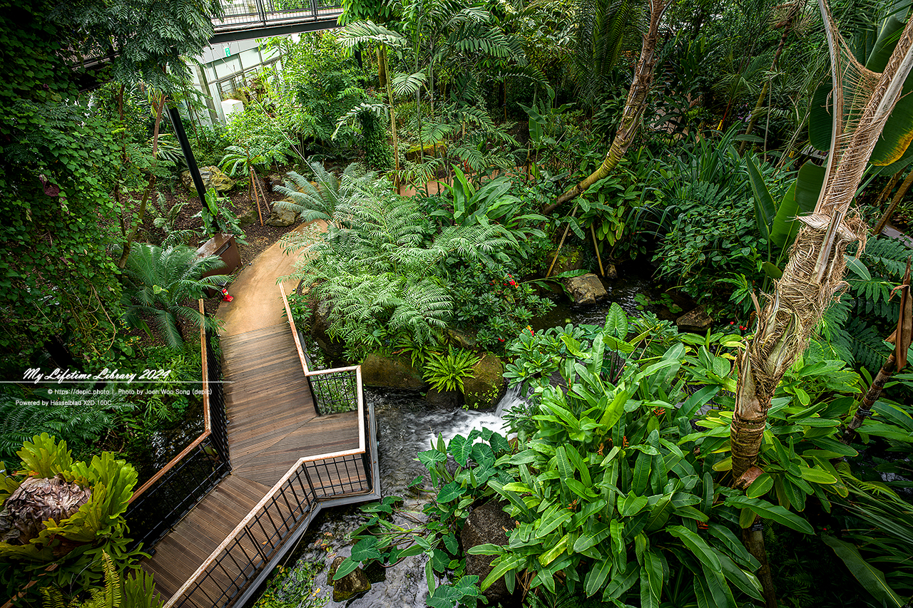 #식물 #나무 #수목원 #세종 #세종수목원 #피노키오