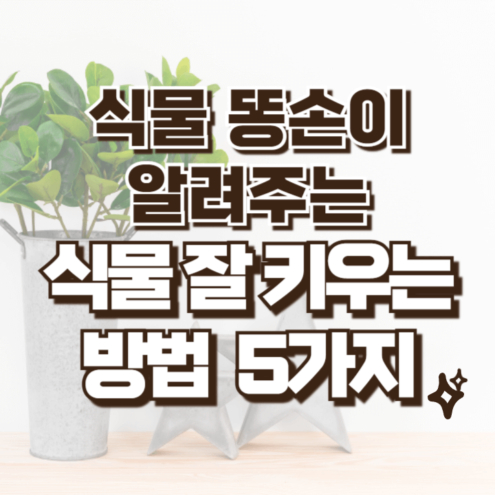 식물 잘 키우는 방법 안내