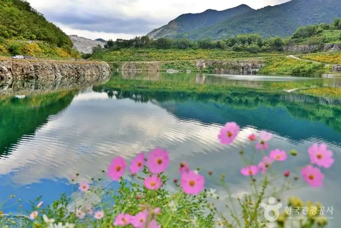 78a90396-bdda-4df6-826e-f57036deca69