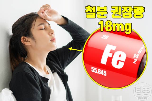 철분 많은 음식 피로회복에 좋은 음식