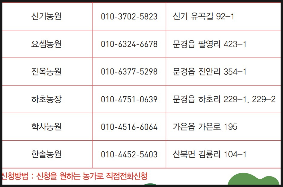 문경 사과 축제 프로그램