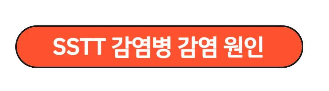 SSTT감염 원인